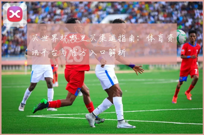 买世界杯哪里买渠道指南:体育资讯平台与官方入口解析