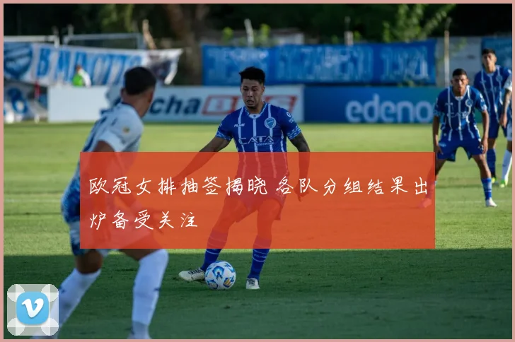欧冠女排抽签揭晓 各队分组结果出炉备受关注