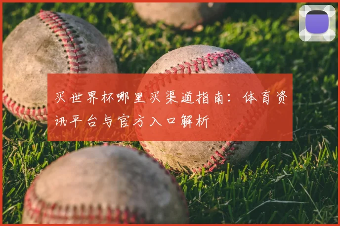 买世界杯哪里买渠道指南:体育资讯平台与官方入口解析