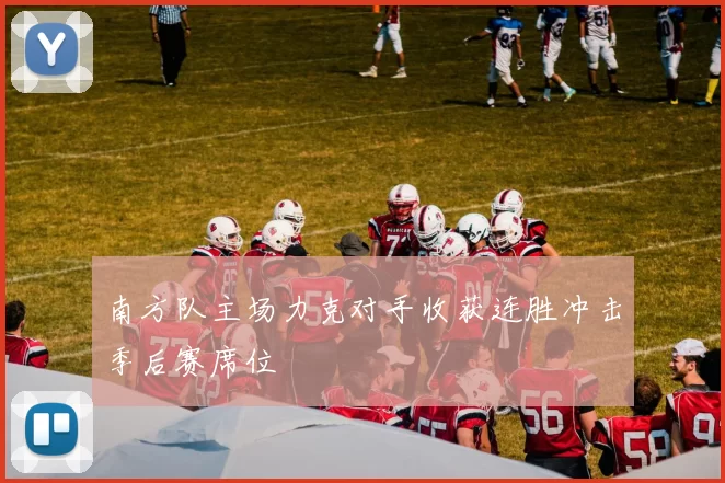 南方队主场力克对手收获连胜冲击季后赛席位