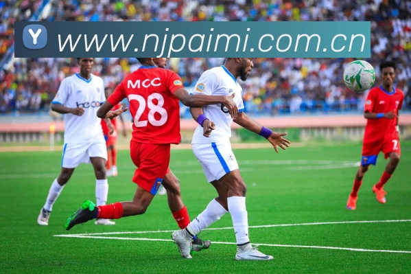 196体育下载(中国)官方在线登录平台生态图